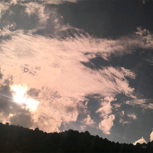 午夜福利午夜福利
