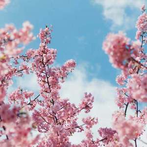 午夜福利午夜福利
